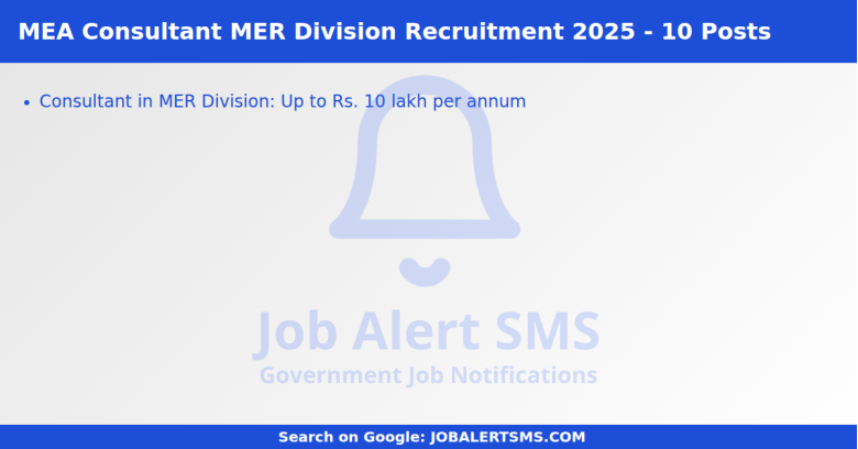 MEA Consultant MER Division Recruitment 2025 - 10 Posts